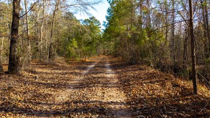 Recreational Property for sale in Clarendon County, South Carolina
