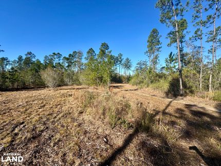Farm and Ranch for sale in Washington County, Alabama
