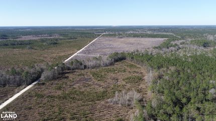 Timberland Property for sale in Wayne County, Georgia