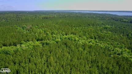 Land for sale in Henry County, Alabama