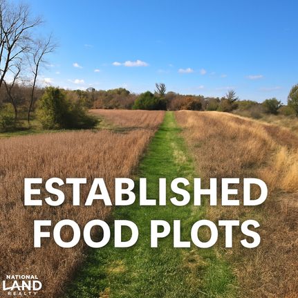 Timberland Property for sale in Appanoose County, Iowa