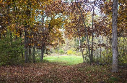 Land for sale in Adair County, Missouri
