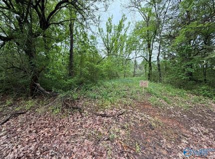 Recreational Property for sale in Lawrence County, Alabama