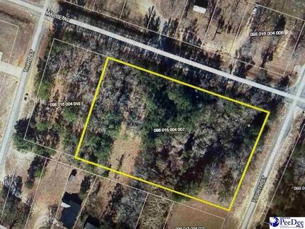 Undeveloped Land for sale in Chesterfield County, South Carolina