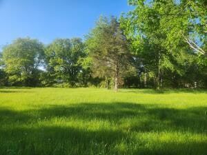 Undeveloped Land for sale in Johnson County, Arkansas