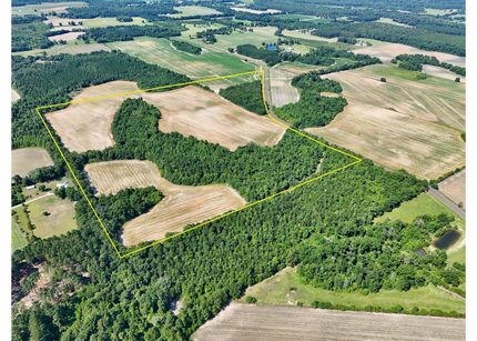 Undeveloped Land for sale in Houston County, Alabama