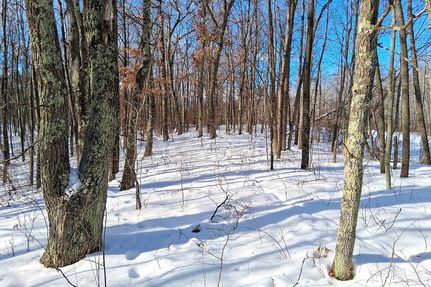 Land for sale in Washburn County, Wisconsin