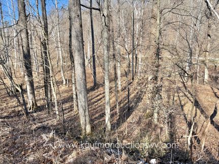 Hunting Property for sale in Wayne County, West Virginia