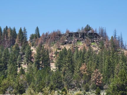 Homesite for sale in Klamath County, Oregon