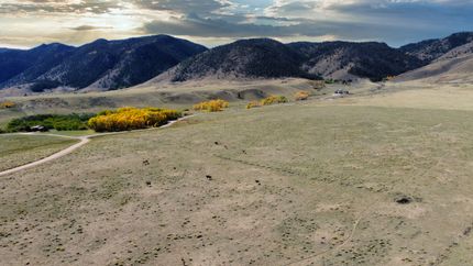 Timberland Property for sale in Albany County, Wyoming