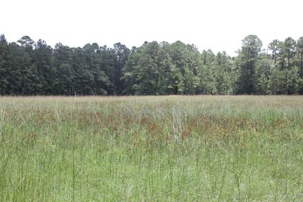 Land for sale in Angelina County, Texas