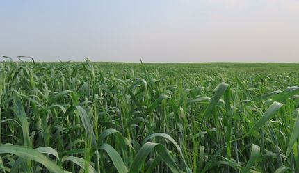 Land for sale in Hettinger County, North Dakota