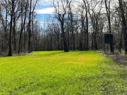 Land for sale in Pointe Coupee Parish, Louisiana