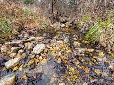 Timberland Property for sale in Ozark County, Missouri