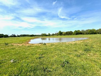 Homesite for sale in Butler County, Alabama