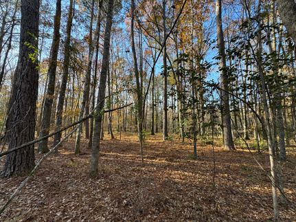 Homesite for sale in Elmore County, Alabama