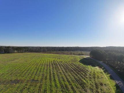 Homesite for sale in Bullock County, Alabama