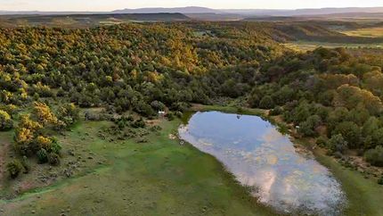 Land for sale in Rio Arriba County, New Mexico