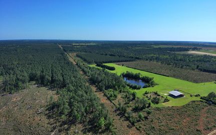 Hunting Property for sale in Baldwin County, Alabama