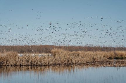 Land for sale in Tallahatchie County, Mississippi