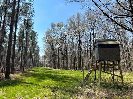 Land for sale in Calhoun County, Mississippi