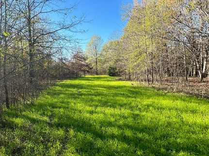 Undeveloped Land for sale in Bolivar County, Mississippi