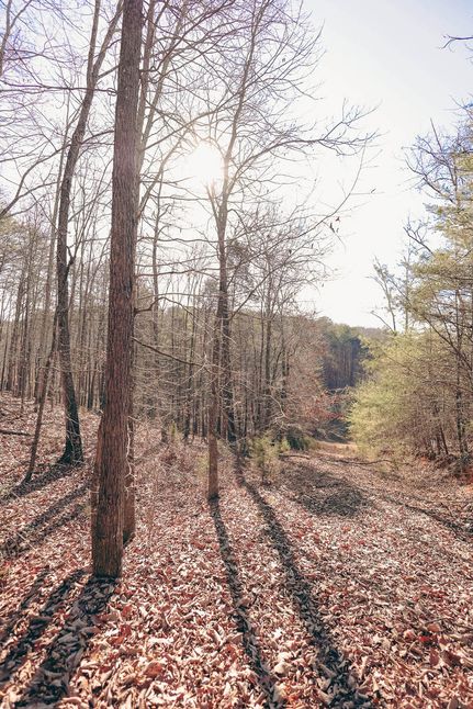 Land for sale in Rhea County, Tennessee