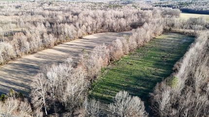 Timberland Property for sale in Hardeman County, Tennessee