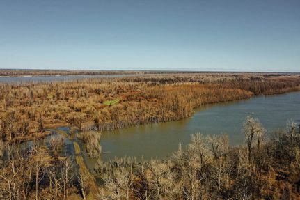 Timberland Property in Bolivar County, Mississippi
