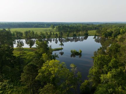House in Barbour County, Alabama