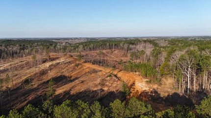 Timberland Property for sale in Prentiss County, Mississippi