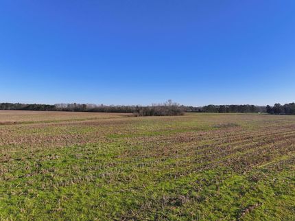 Horse Property for sale in Bullock County, Alabama
