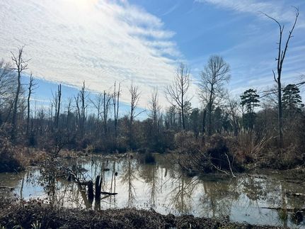 Land for sale in Scott County, Mississippi