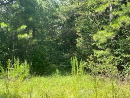 Land for sale in Jasper County, Mississippi