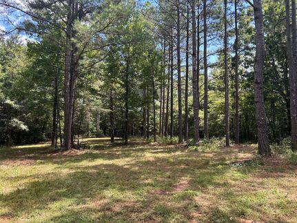 Undeveloped Land for sale in Benton County, Mississippi