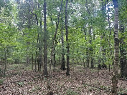 Farm and Ranch for sale in Hinds County, Mississippi