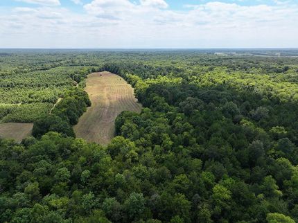 Timberland Property for sale in Lowndes County, Mississippi