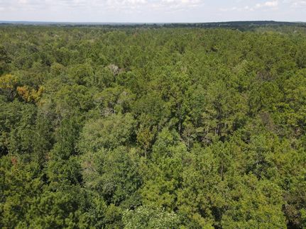 Land for sale in George County, Mississippi