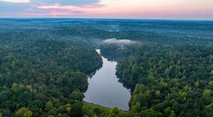 Timberland Property in Elmore County, Alabama