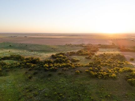 Timberland Property for sale in Tillman County, Oklahoma