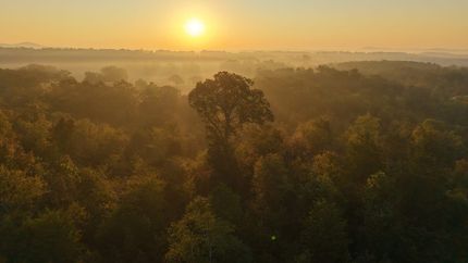 Hunting Property for sale in Polk County, Arkansas