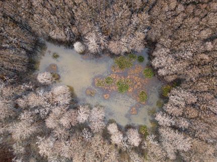 Recreational Property for sale in Jefferson County, Mississippi