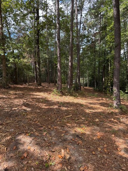 Homesite for sale in Lamar County, Mississippi