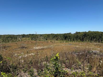 Land for sale in Choctaw County, Mississippi