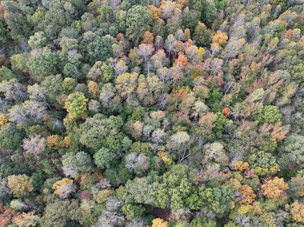 Hunting Property for sale in Butler County, Kentucky