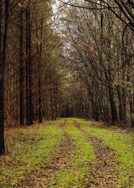 Land for sale in Yazoo County, Mississippi