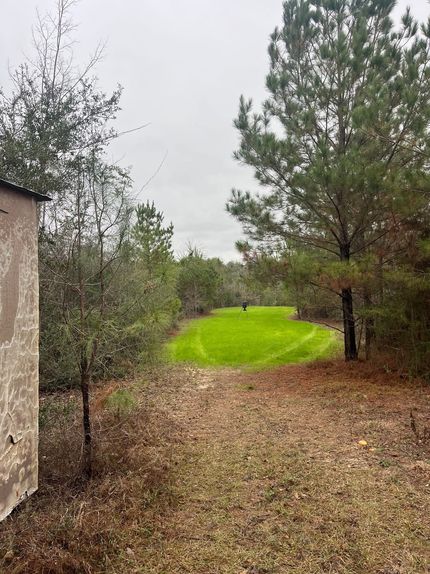 Land for sale in Wayne County, Mississippi