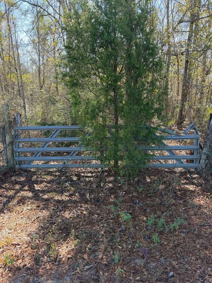 Land for sale in Crenshaw County, Alabama