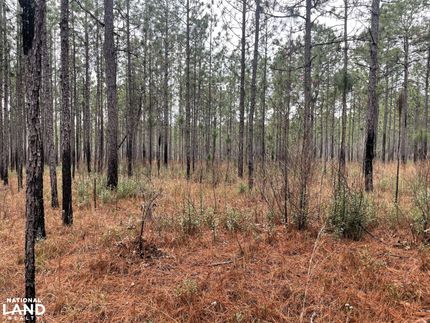 Undeveloped Land for sale in Baldwin County, Alabama