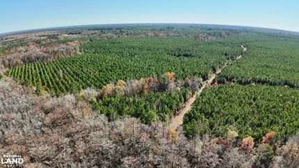 Timberland Property for sale in Hertford County, North Carolina